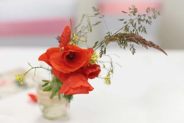 Monia Dekoracje